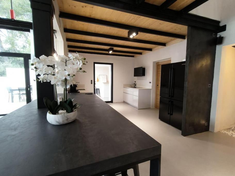 Industrial Luxury Nimes & Arles Villa Beaucaire  Dış mekan fotoğraf